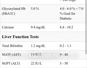 Total Bilirubin Is Slightly High