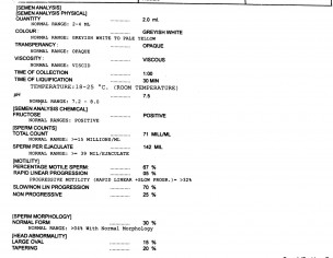 Semen Analysis 