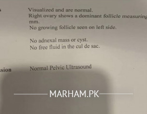 Urine Infection And Pregnency