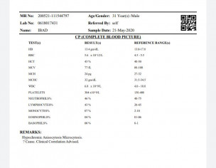 Backpain From Past 6 Months