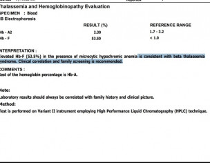 Blood Test Report