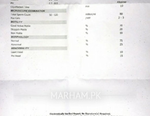 Problem In  Pregnancy