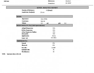 Morphology And Motility