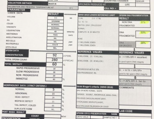 SEMEN ANALYSIS REPORT (DNA FRAGMENTATION)