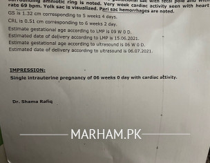 Fetal Cardiac Activity 