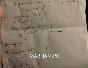 Pregnancy Multivitamins 