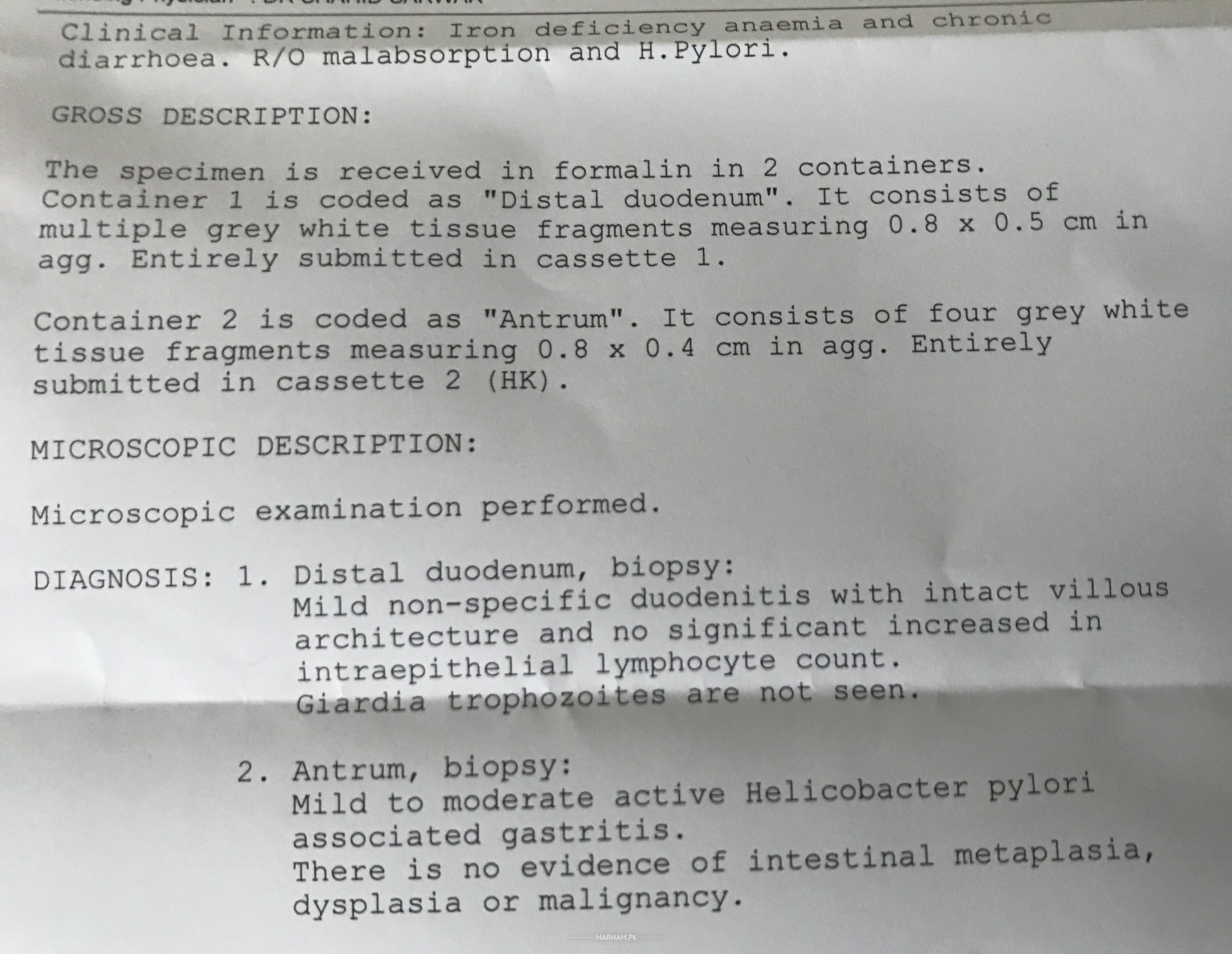 Ask a Gastroenterologist Online for Endoscopy And Biopsy Reports