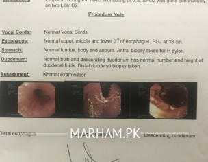 Endoscopy And Biopsy Reports (gastroenterologist)