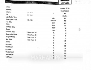 Please Check My Report This Is Normal, Not This