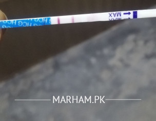 Urine Pragnancy Test