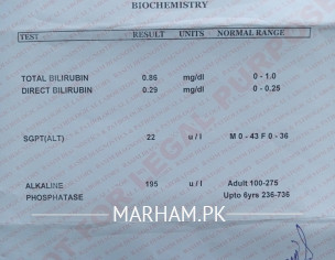 Report . Panic Attack