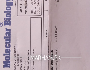 Report . Panic Attack