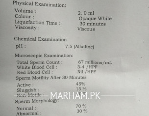 Seman Analysis Report.