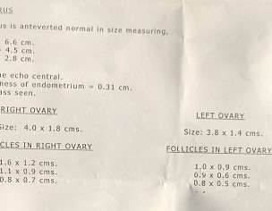 Gynaecology Gynaecologist 