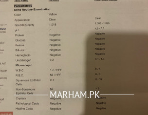 Alt Raised Typhoid 2 Months Ago