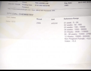 Hcg Test Results Check