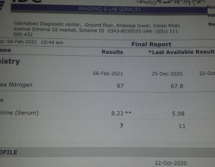 Diabetes And Kidney Problem