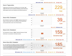 High Cholesterol , Lipid Profile Attached 