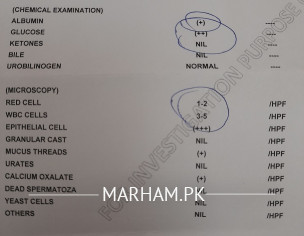 Pregnancy - Urine Report