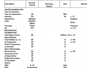 Semen Analysis