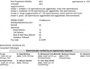 Semen Test Analysis
