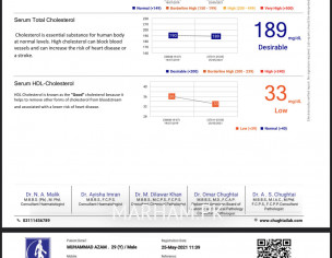 High Cholesterol - Report Attached 
