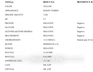 Knowing About Report