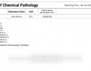 Pregnancy Confirmation