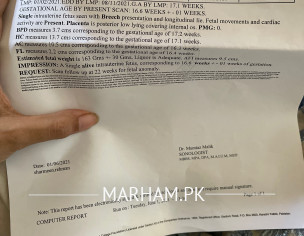 Report Interpretation 