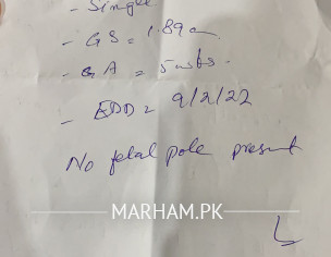 No Fetal Pole Present