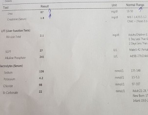 Cardiologist In Town