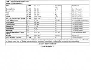 No Periods For Months