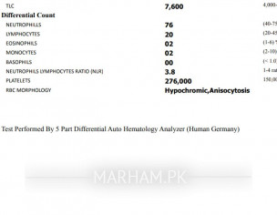 Early Pregnancy Tests