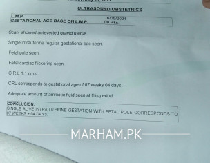 Early Pregnancy Tests