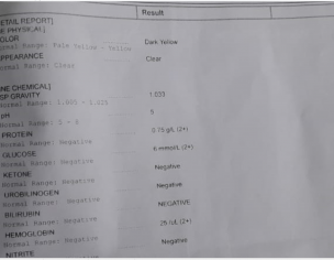 Diabetes And Cholesterol