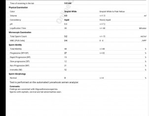Sperm Report