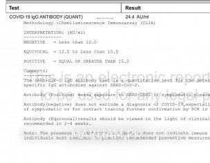 Corona Antibody Test Result Interpretation 