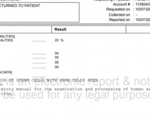 Pregnancy Issue - Semen Analysis Report