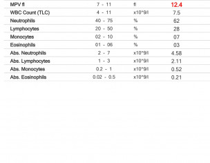 Blood Test Indication