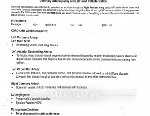 Heart Problems. Angina