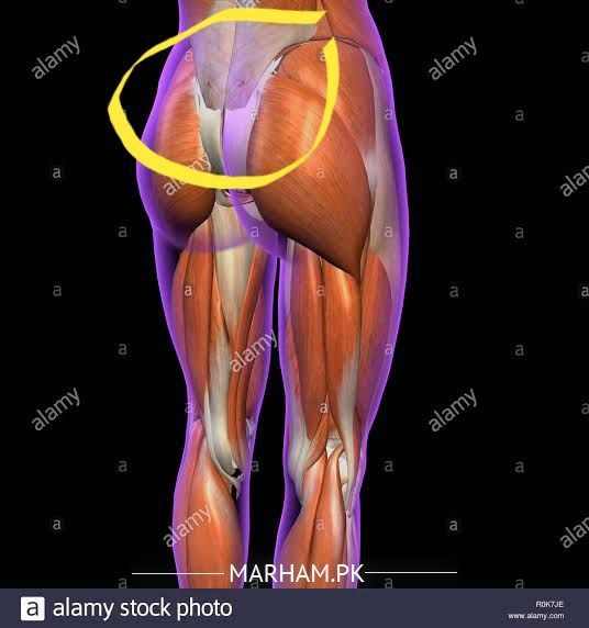 Tailbone (Coccyx) Pain Relief - Ask Doctor Jo 