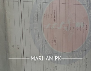 Sperm Active Ne Ho Rahi