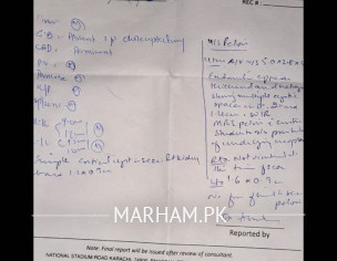 Back Ache/ Gynaecology 