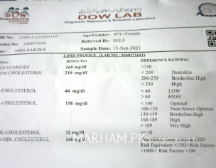 Report Lipid Profile
