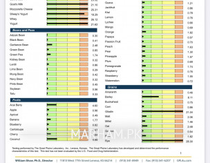 Igg Test Report 