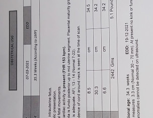 35 Week Altrasound Report
