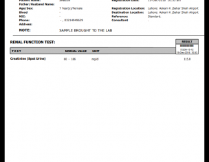 Urinary Tract Infection 