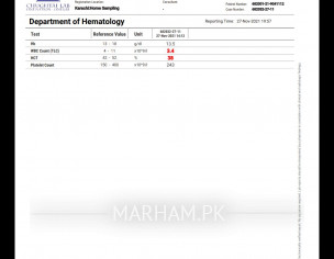 Help Me With This Report
