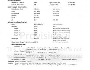 Semen Analysis