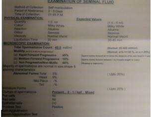 Semen Analysis Report